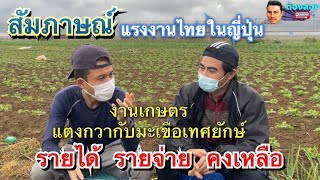 สัมภาษณ์แรงงานไทยในญี่ปุ่นEp.1 งานเกษตรแตงกวากับมะเขือเทศยักษ์