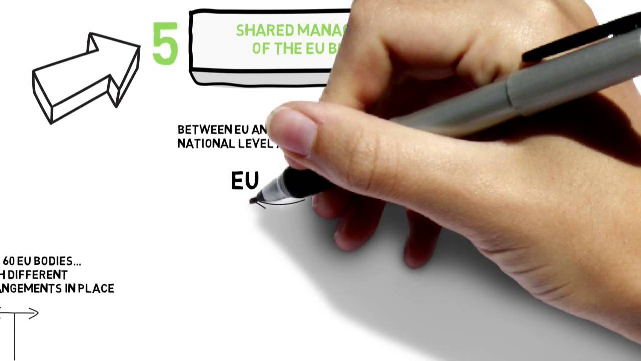 EU Auditors review EU accountability landscape