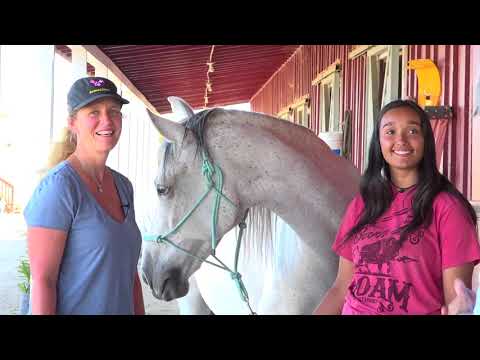 The Pet Psychic Talks To A Barrel Racing Horse