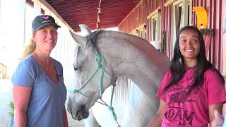 The Pet Psychic Talks To A Barrel Racing Horse