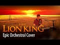 The Lion King | Epic Soundtrack Cover (This Land, Circle of Life, Can you feel the love tonight)