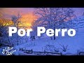 Sebastián Yatra - Por Perro (Letra / Lyrics) ft. Luis Figueroa, Lary Over