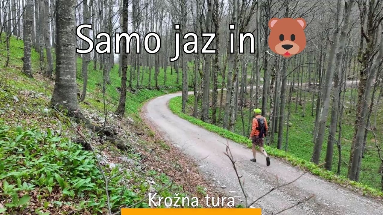 Veliki Javornik - Tura skozi neskončne gozdove