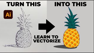 How to vectorize Pineapple sketch - Adobe Illustrator Timelapse