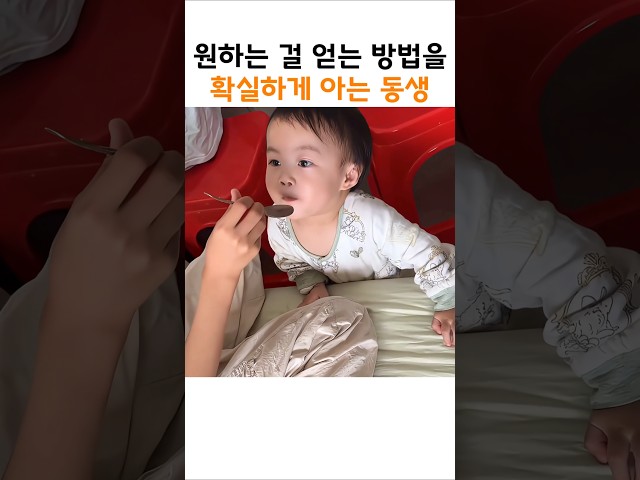 언니 아이스크림을 먹기 위한 동생의 신의 한수