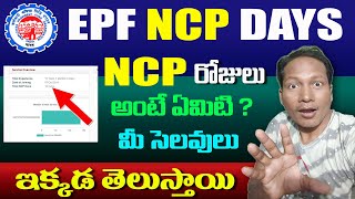 What is EPF NCP Days in Telugu || How to Calculate NCP days in PF