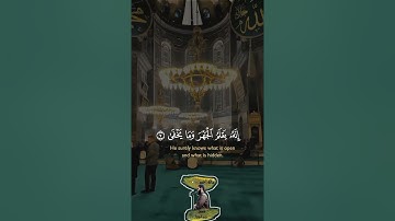 سورة الأعلى كاملة بصوت الشيخ مالك أحمد