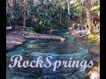 Rock Springs Kelly Park and a hidden trail?!?