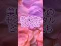 ｟美しい旋律のセンチメンタルピアノ曲たち｠#癒し#リラクゼーション#センチメンタルピアノ