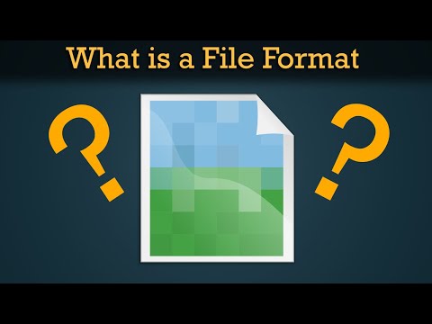 What is a File Format?