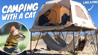 How to Camp With a Cat | Tent, Accessories, Litter Box & Tips by Albert & Mia, the Adventure Bengal Cat 21,965 views 1 year ago 7 minutes, 23 seconds