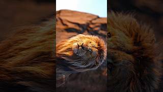 4k hdr 120fps video hdr 120fps cartoon