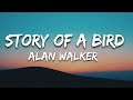 Alan walker - Story of a bird (lyrics) alan walker lyrics song ft.king #lyrics #alanwalkerlyrics 