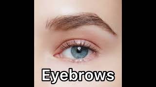 Eyebrows pronunciation ytshorts pronunciation