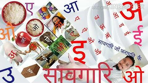 Bodo vowels     (   गारां हांखो  )