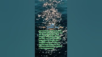 سورة البقرة الاية (58) #علي_الحذيفي