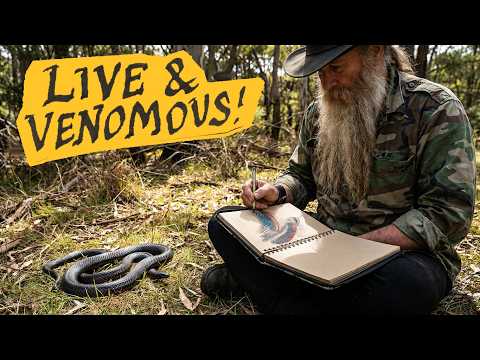 Extreme Nature Journaling: Sketching a Venomous The Red-Bellied Black Snake