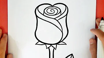 Como é que se desenha uma rosa fácil?