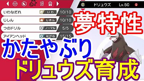 ドリュウズ 育成論