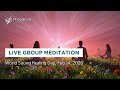 Live Group Meditation | World Sound Healing Day