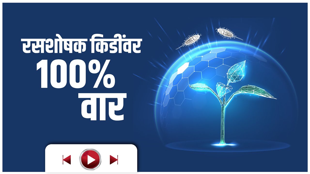 रसशोषक किडी नियंत्रणासाठी जबरदस्त औषध🌱 मावा, तुडतुडे समस्या करा दूर 🐛 किल एक्स AgroStar