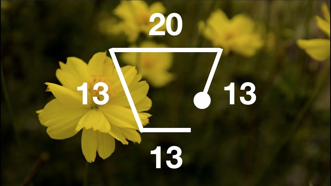 Guided Breathing Exercise - Trapezoid with Extended Full Lung Holds