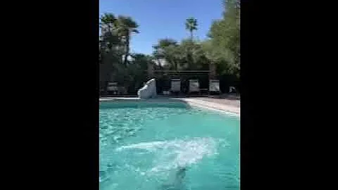 Joseph Presentation - Pool