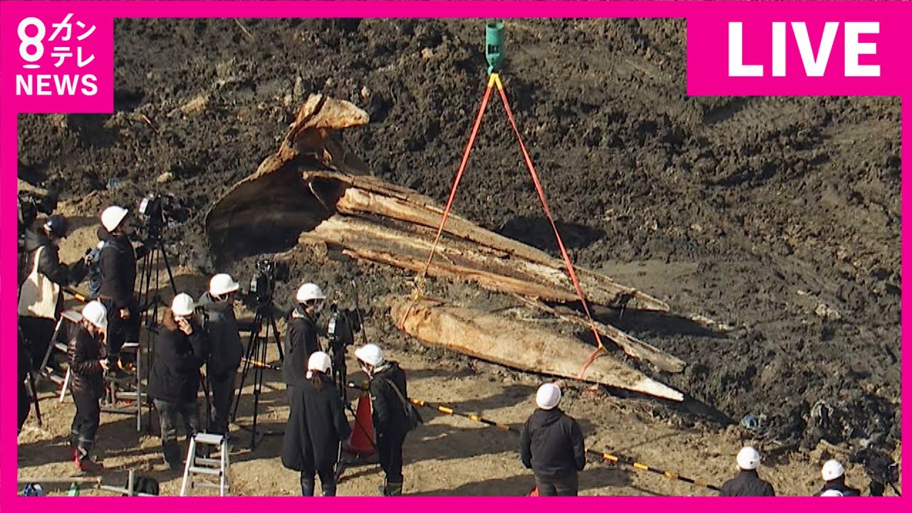 LIVE】大阪湾の迷いクジラ 骨格標本へ 2年ぶり掘り起こし ヘリから生
