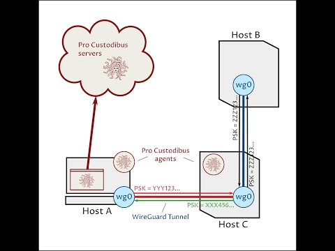 WireGuard Multi-Factor Authentication With Pro Custodibus