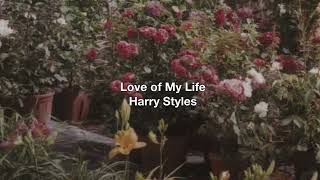 Harry Styles - Love of My Life (Instrumental)