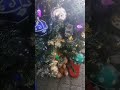 Christmas (7) Navidad #JEMAR @rcp643