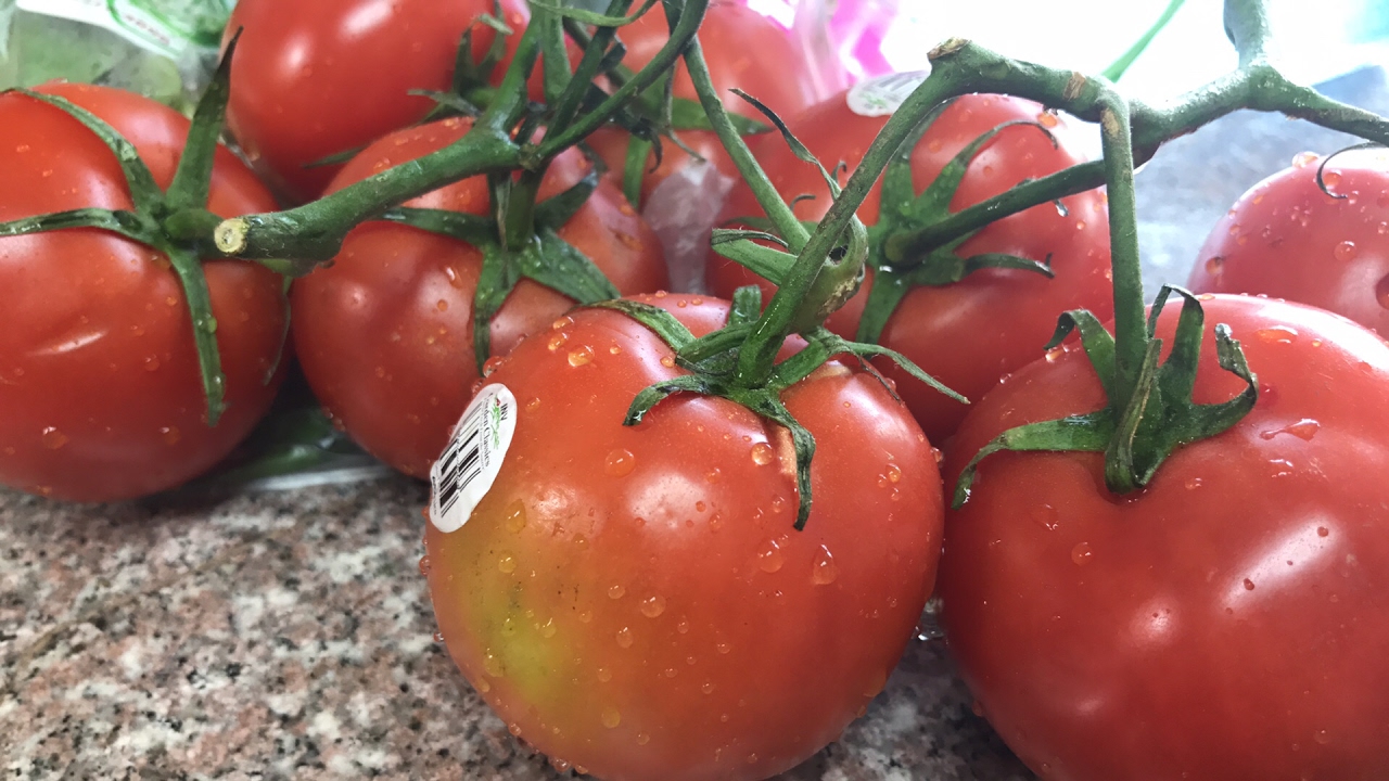 Crema de tomates 🍅 Comida vegetariana