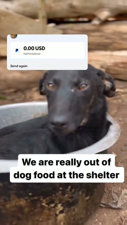 Please kindly tap the link in bio and donate something to help these ...