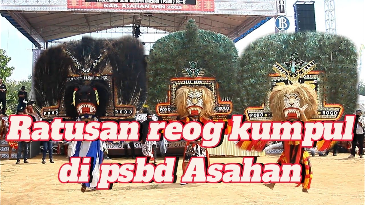 Ratusan reog kumpul di psbd Asahan ada juga Dari putra krmbar dan lain nya 