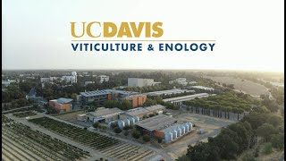 Everything you ever wanted to know about the Department of Viticulture and Enology at UC Davis