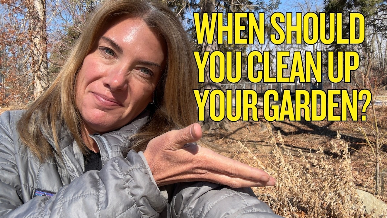 Sunday seed starting + cleanup timing