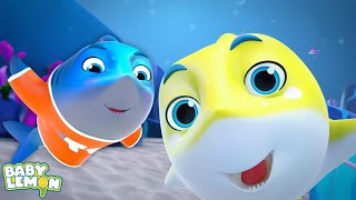 Baby Shark Song And Kindergarten Rhyme For Babies