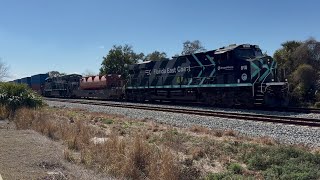 FEC TRAIN 202 @ 11:13am 2-20-26 