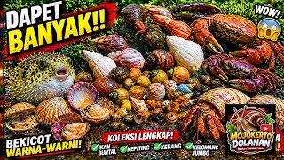 Hunting Snail! Berburu Keong Bekicot, Keong mas (Keong sawah) dan Kelomang [Udang Kenari Kerang]