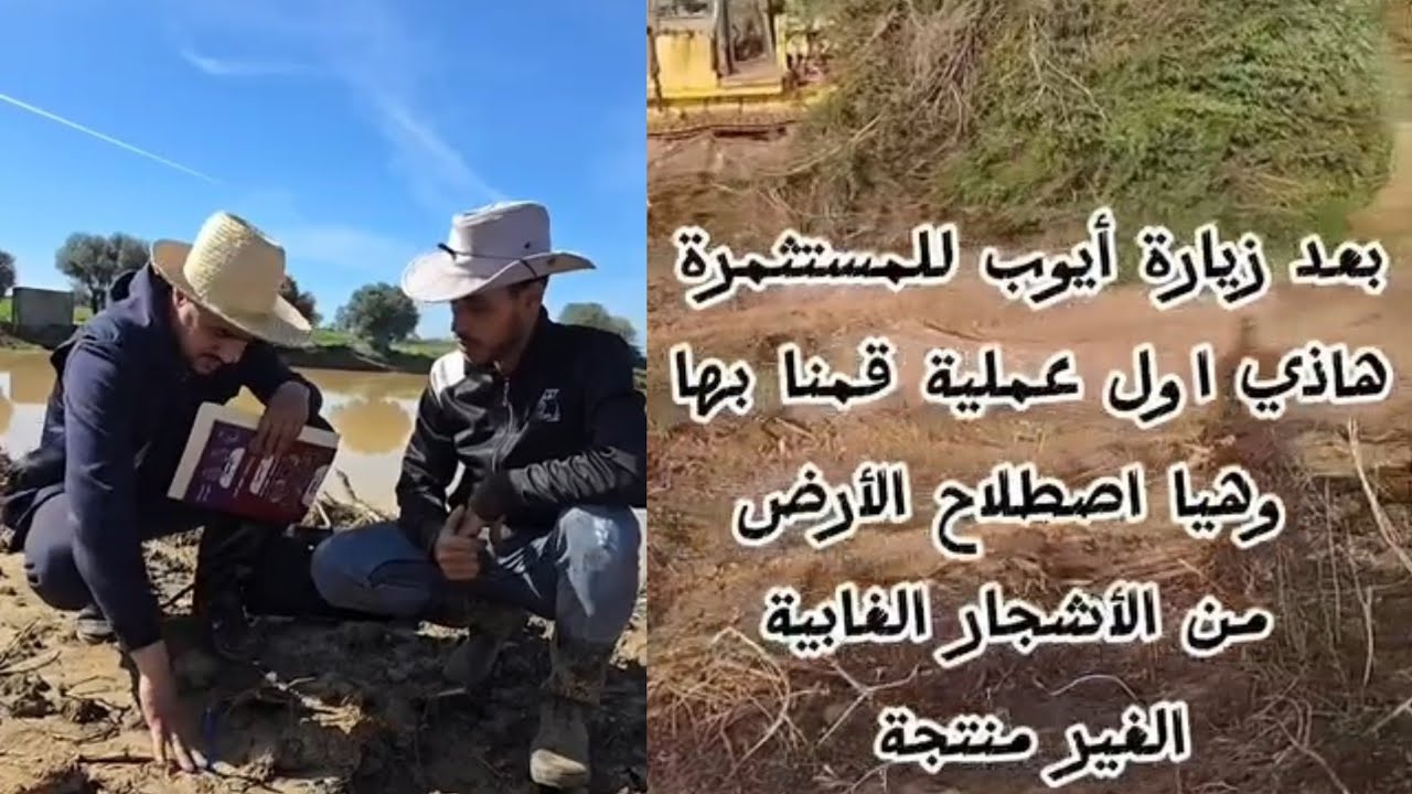 من سكيكدة، تعليمات ايوب لصاحب مزرعة والخطوات لي لازم يتبعها بعد الغرس للحصول على موسم فلاحي بامتياز