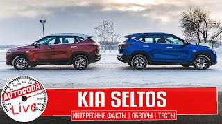 Обзор-Kia Seltos Какой выбрать, Селтос 1,6 с автоматом или Seltos 2,0  с вариатором? Speed Test #12