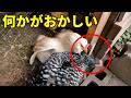 仲良くなれたと思ったのに…何かがおかしくなった 360話目