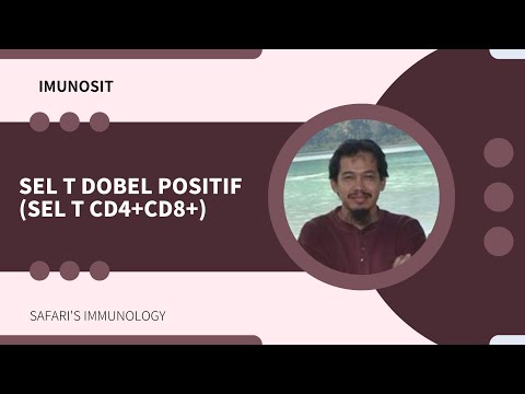 SEL T DOBEL POSITIF (SEL T CD4+CD8+)