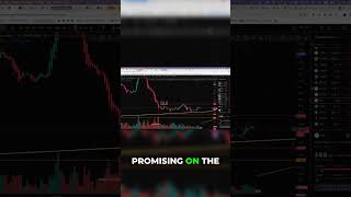 Sui DCA Strategy: Your Next Big Crypto Opportunity!