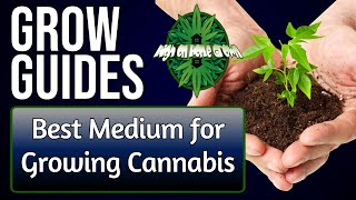 Best Medium for Growing Cannabis | Grow Guides Episode 3