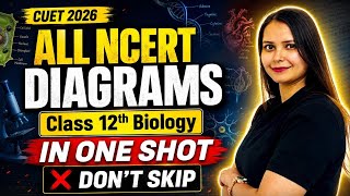 CUET 2026 Biology All NCERT Diagrams Class 12 | One Shot Revision | Important Questions