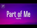 Katy Perry - Part Of Me (Lyrics)