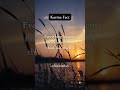 Everything Will Be Okay.💓 Karma Fact| Psychology Fact| #shorts #psychologyfacts #subscribe
