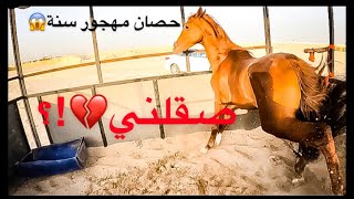 ماذا أفعل؟ | مع حصان مهجور سنة كاملة😱!؟؟ | إعادة عسف الحصان طوفان "١" |