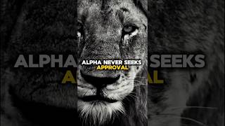 Alpha never seeks approval #motivation #selfgrowth #realtalk #mindsetmatters #fyp #explorepage